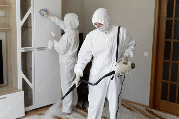24/7 Emergency Biohazard Cleanup experts in Virginia, IL
