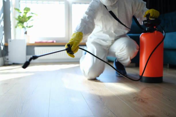Reliable Biohazard Cleanup contractor in Virginia, IL by Dulley Family Biohazard Services